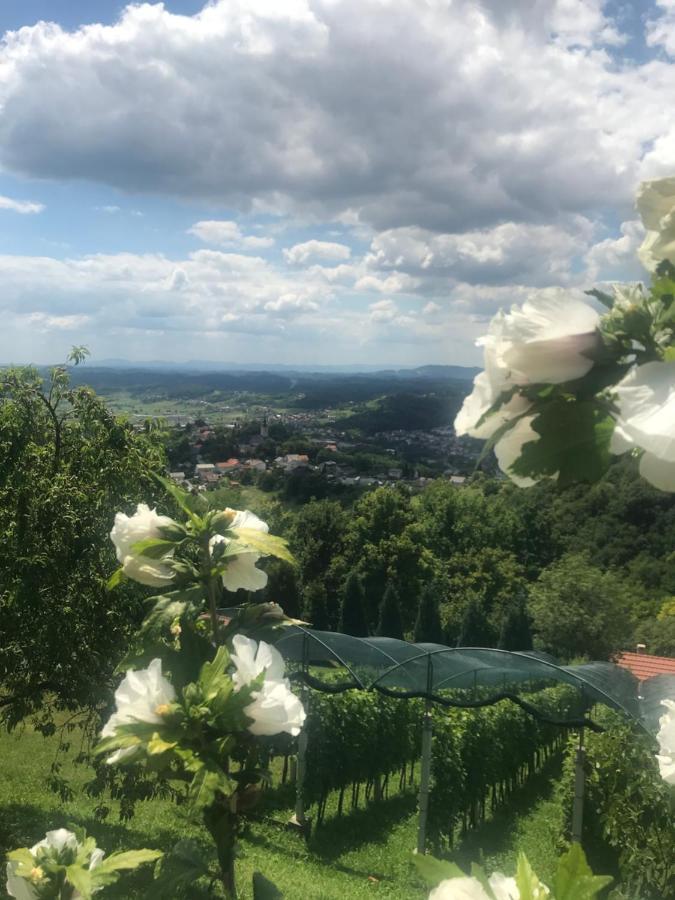 Kuca Za Odmor Magdalena&v Apartment Krapina